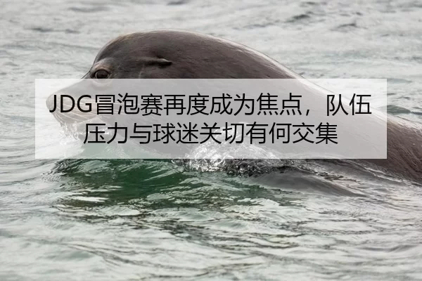 JDG冒泡赛再度成为焦点，队伍压力与球迷关切有何交集